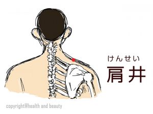 肩井-min
