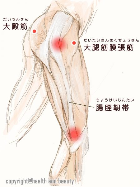 ランナー膝-筋肉