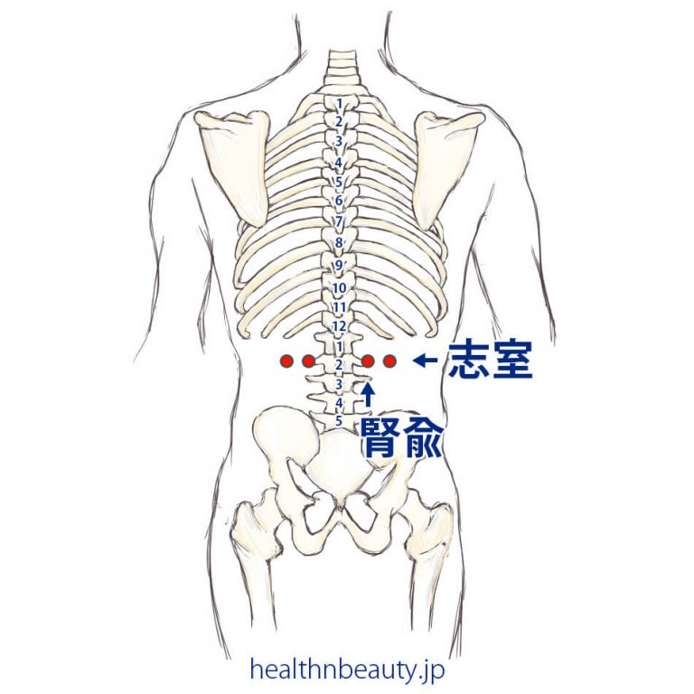 腰痛に効くツボ | ヘルスアンドビューティ